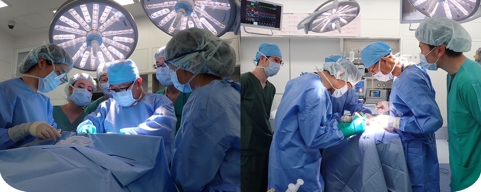 岩手医科大学耳鼻咽喉科頭頸部外科